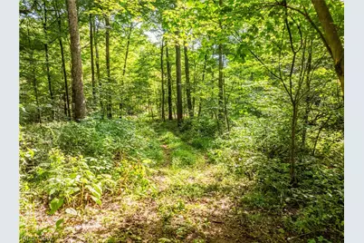 Private Road 3000, Millersburg, OH 44654 - Photo 27