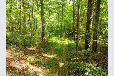 Private Road 3000, Millersburg, OH 44654 - Photo 25