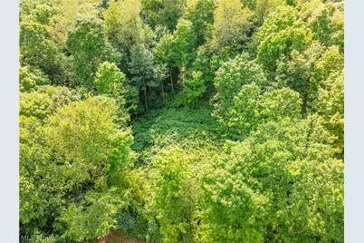 Private Road 3000, Millersburg, OH 44654 - Photo 7