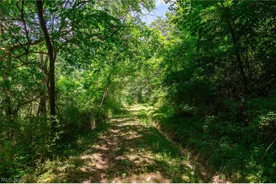 Clay Pike Road, Chandlersville, OH 43727 - Photo 15