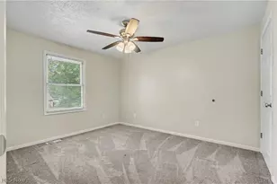 251 Caladonia Ave, Akron, OH 44333 - Photo 19