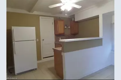 231 S Vine Street, Medina, OH 44256 - Photo 3