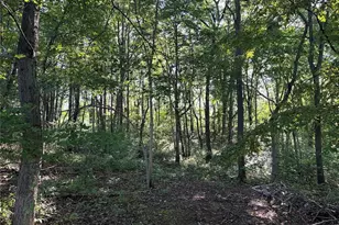 10182 Andora Rd NE, West Chester, OH 44625 - Photo 31