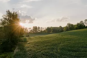 940 Parks Ave SE, Paris, OH 44669 - Photo 7