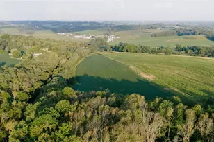 940 Parks Ave SE, Paris, OH 44669 - Photo 13