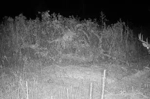 940 Parks Ave SE, Paris, OH 44669 - Photo 23