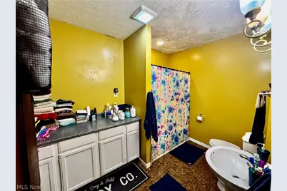 3216 W 95th Street, Loveland, OH 44102 - Photo 29