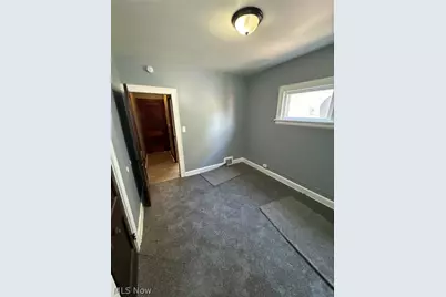 14131 Sylvia Avenue, Loveland, OH 44110 - Photo 11