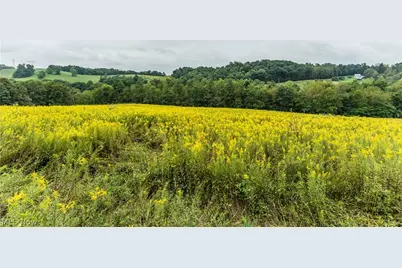 36810 Township Road 68A, Coshocton, OH 43821 - Photo 17