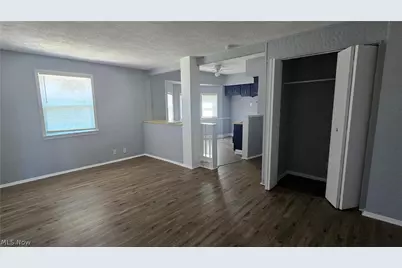 810 E 157th Street, Loveland, OH 44110 - Photo 3