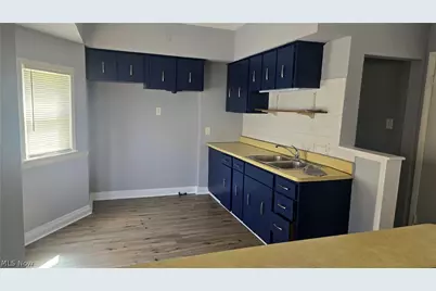 810 E 157th Street, Loveland, OH 44110 - Photo 5