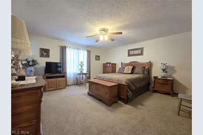 115 N Crestview Drive, Creston, OH 44217 - Photo 33