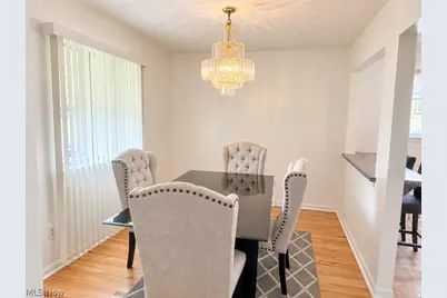 16710 Dynes Avenue, Loveland, OH 44128 - Photo 3