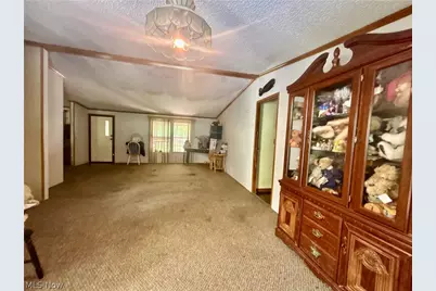 9231 Horn Road, Windham, OH 44288 - Photo 9