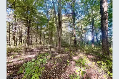 8476 Ravenna Road, Twinsburg, OH 44087 - Photo 43
