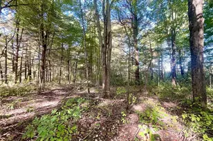 8476 Ravenna Rd, Twinsburg, OH 44087 - Photo 43
