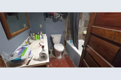 1043 Berwin Street, Akron, OH 44310 - Photo 13