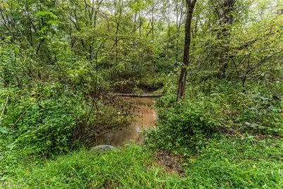 36810 Township Road 68A, Dresden, OH 43821 - Photo 11