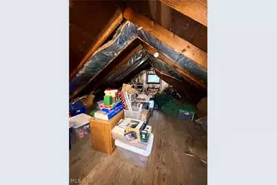 4410 W 171st Street, Loveland, OH 44135 - Photo 19