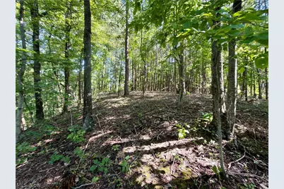 2074 Bogal Ridge Road, Mineral Wells, WV 26150 - Photo 9