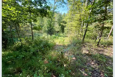 2074 Bogal Ridge Road, Mineral Wells, WV 26150 - Photo 11