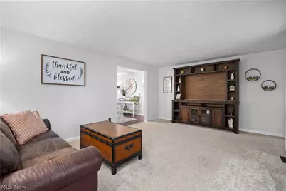 228 Forest Street, Wellington, OH 44090 - Photo 23
