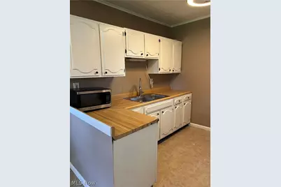 56 E Ashtabula Street, Jefferson, OH 44047 - Photo 7