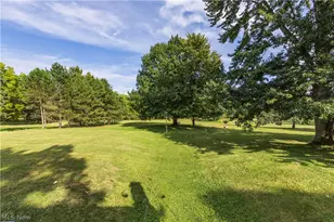 7037 Ryan Rd, Medina, OH 44256 - Photo 41