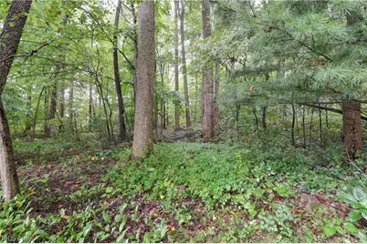 5771 County Road 407, Millersburg, OH 44654 - Photo 35