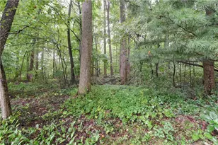 5771 Co Rd 407, Millersburg, OH 44654 - Photo 35