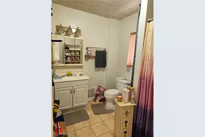 212 E Miller Avenue, Akron, OH 44301 - Photo 9