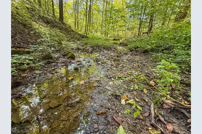 29556 Township Road 209, Coshocton, OH 43812 - Photo 49