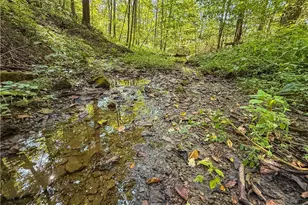 29556 Township Rd 209, Coshocton, OH 43812 - Photo 49