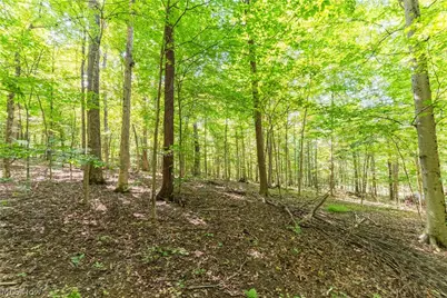29556 Township Road 209, Coshocton, OH 43812 - Photo 45