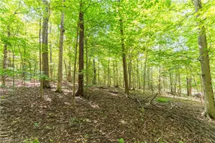 29556 Township Rd 209, Coshocton, OH 43812 - Photo 45