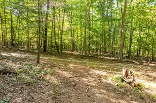 29556 Township Rd 209, Coshocton, OH 43812 - Photo 41