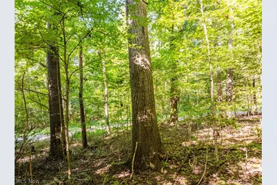 29556 Township Road 209, Coshocton, OH 43812 - Photo 37