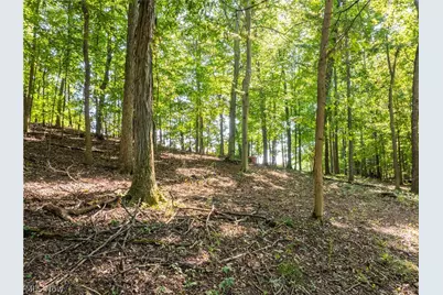 29556 Township Road 209, Coshocton, OH 43812 - Photo 41