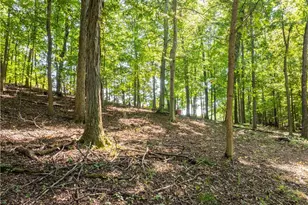 29556 Township Rd 209, Coshocton, OH 43812 - Photo 41
