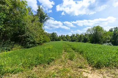 3930 McNally Road, Stockport, OH 43787 - Photo 43