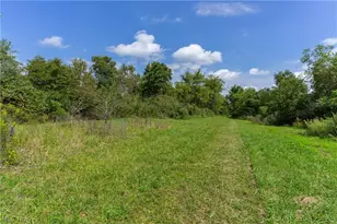 3930 McNally Rd, Stockport, OH 43787 - Photo 39