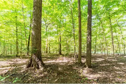 29556 Township Road 209, Coshocton, OH 43812 - Photo 9