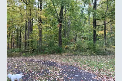 7193 Woodard Road, Andover, OH 44003 - Photo 43