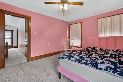 729 Main Street, Conneaut, OH 44030 - Photo 29