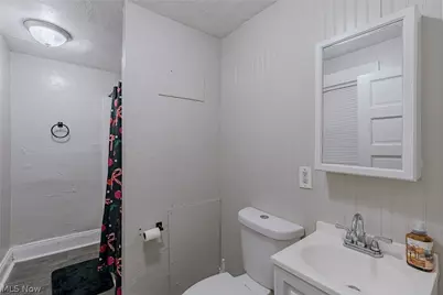 379 E 162nd Street, Loveland, OH 44110 - Photo 19