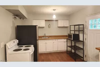 10770 Infirmary Road, Mantua, OH 44255 - Photo 13