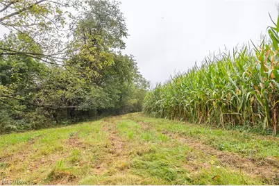 White Eyes Road, New Concord, OH 43762 - Photo 29