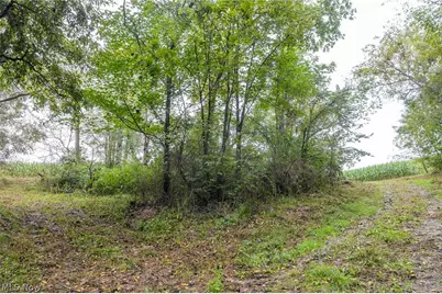 White Eyes Road, New Concord, OH 43762 - Photo 37