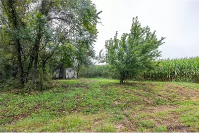 White Eyes Road, New Concord, OH 43762 - Photo 35
