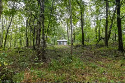 White Eyes Road, New Concord, OH 43762 - Photo 33
